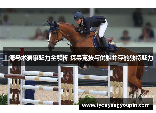 上海马术赛事魅力全解析 探寻竞技与优雅并存的独特魅力
