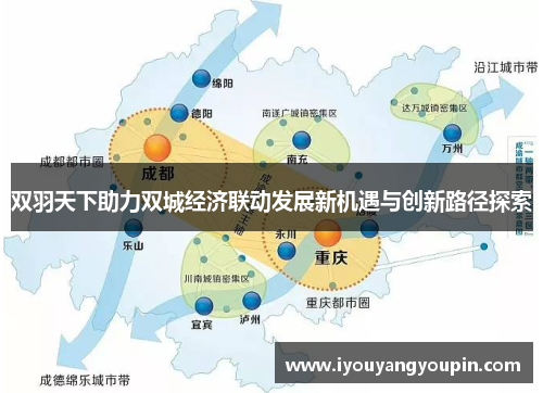 双羽天下助力双城经济联动发展新机遇与创新路径探索