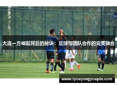 大连一方崛起背后的秘诀：足球与团队合作的完美融合