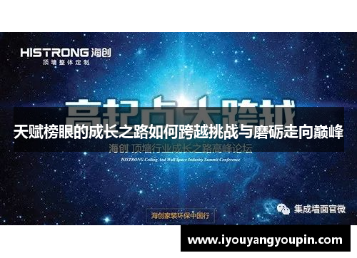 天赋榜眼的成长之路如何跨越挑战与磨砺走向巅峰