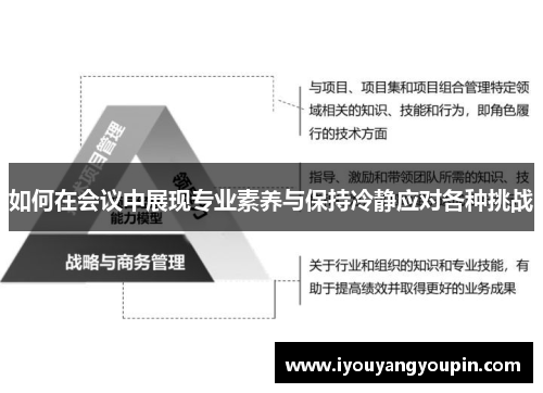 如何在会议中展现专业素养与保持冷静应对各种挑战